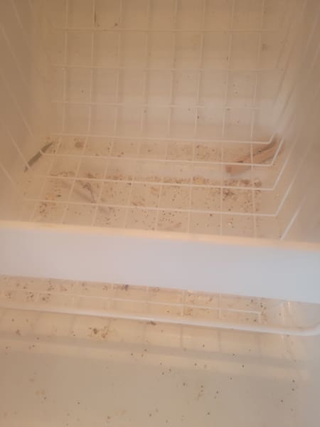 Inside-freezer-before