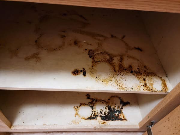 Kitchen-cupboards-before